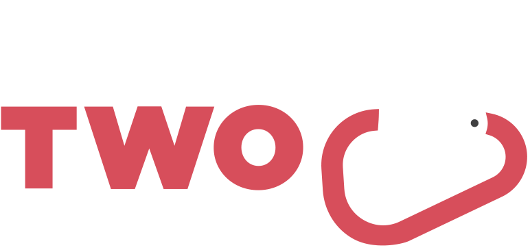 Factor Two Logo